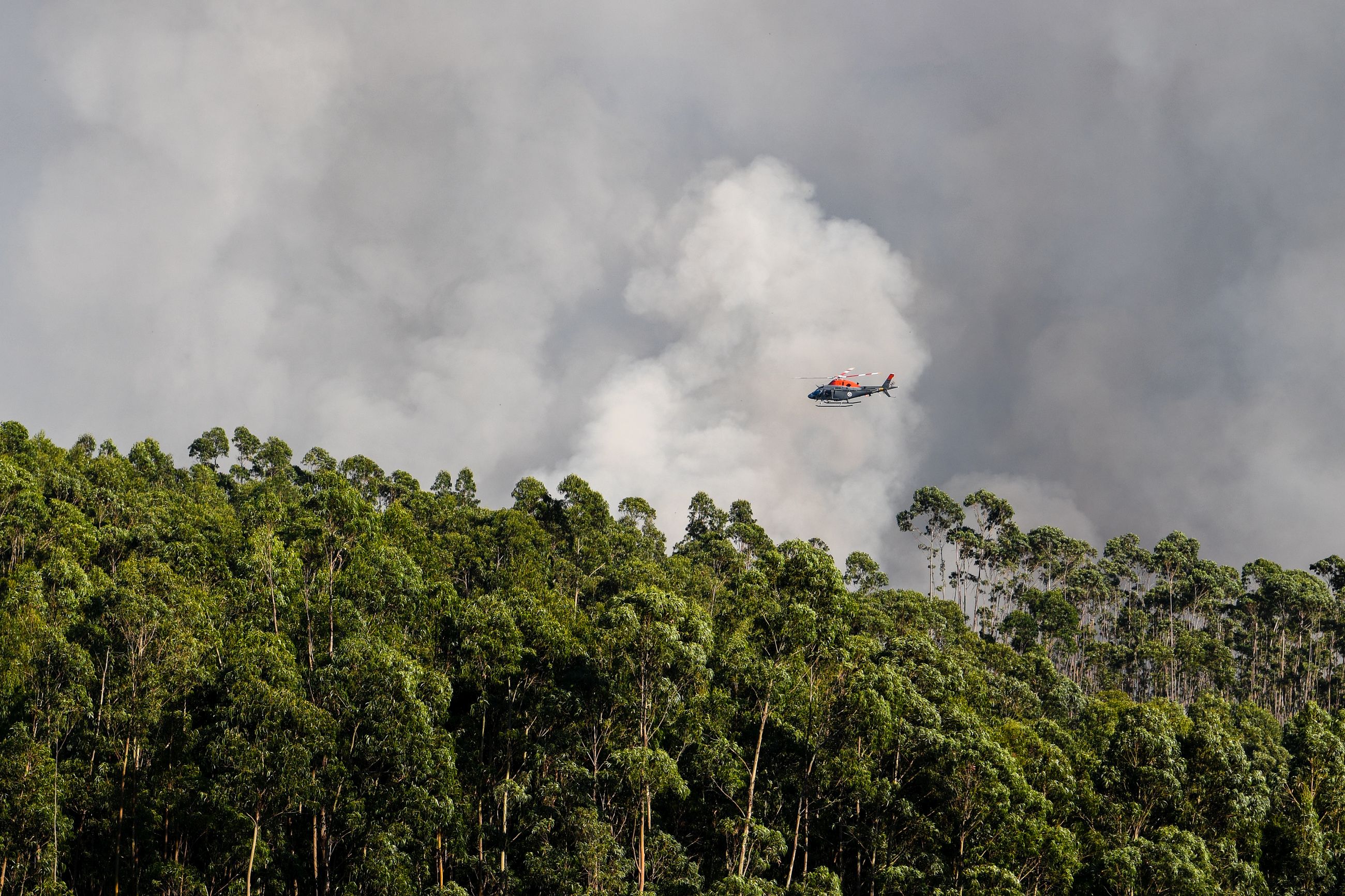 Meio aereo, helicopetro de reconhecimento patrulha um incendio florestal. incendios