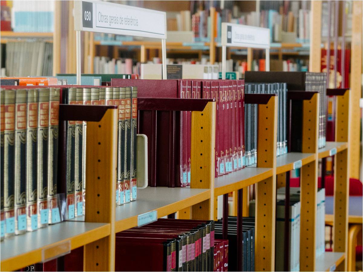 biblioteca municipal mangualde