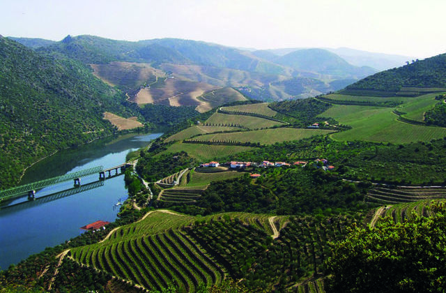 regiao_do_douro_sul_1