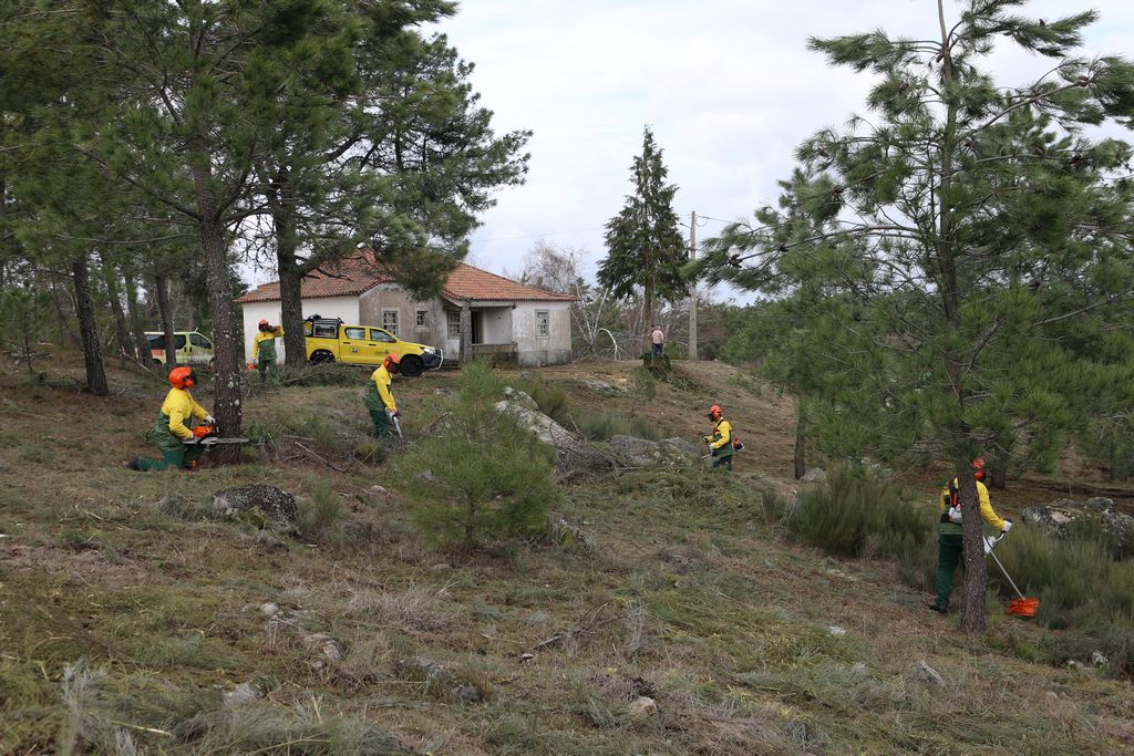  Mais de 150 freguesias da região são prioritárias na limpeza dos terrenos