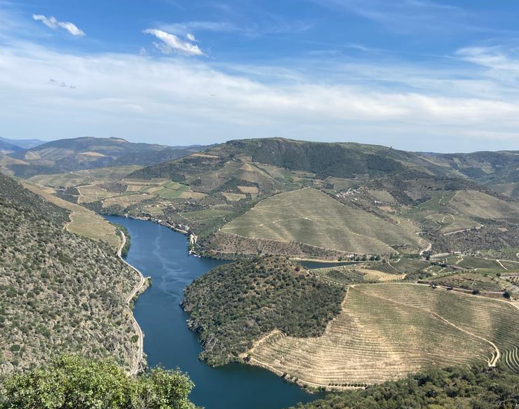  Douro quer ser Cidade Europeia do Vinho em 2023