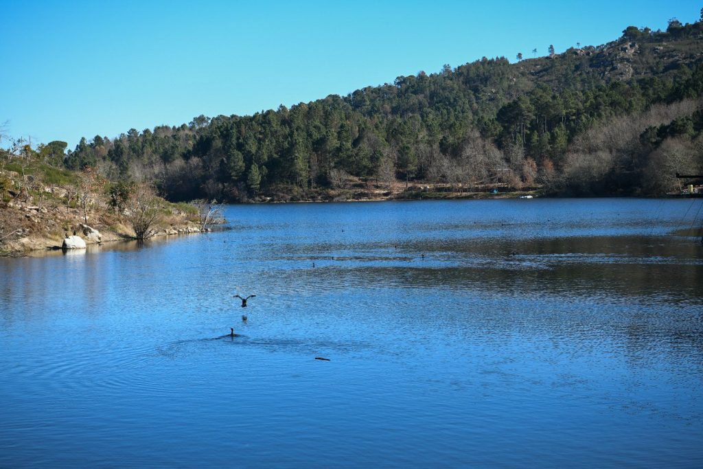  Câmara de Viseu desafia Governo a avançar rapidamente com nova barragem