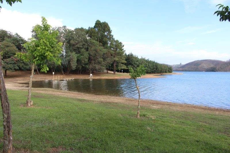  Praia fluvial de Santa Comba Dão tem 'qualidade de ouro' pelo quinto ano