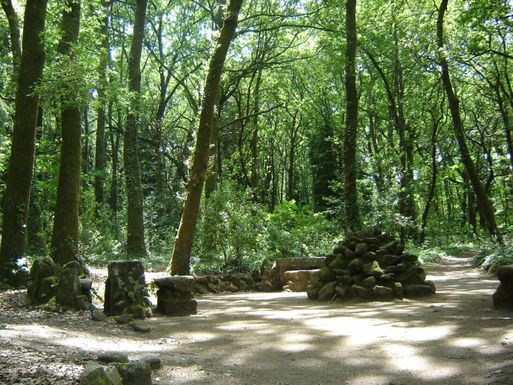  Visita guiada à Mata do Fontelo no Dia do Ambiente