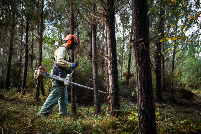  Incêndios: Há melhorias no combate, mas na floresta está quase tudo por fazer