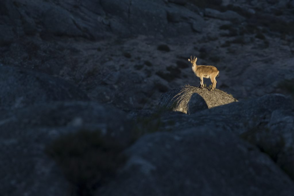  Concurso de fotografia de natureza com inscrições abertas em Vouzela