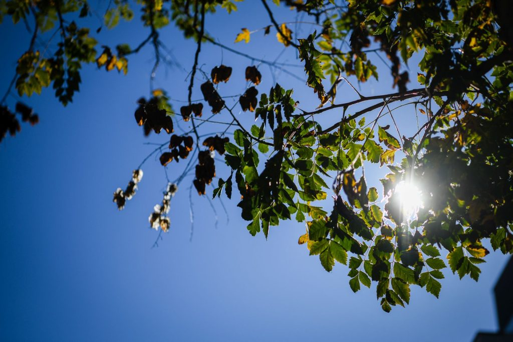  Terça-feira de sol e subida da temperatura máxima em Viseu