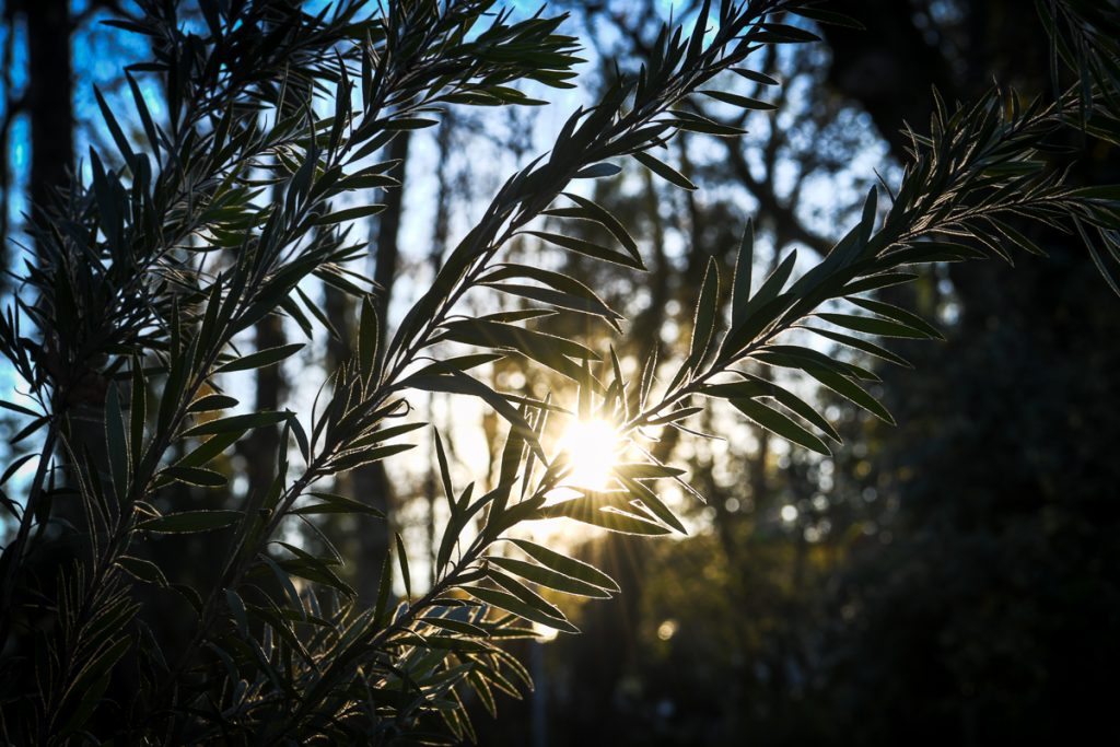  Temperaturas chegam esta semana aos 33 graus