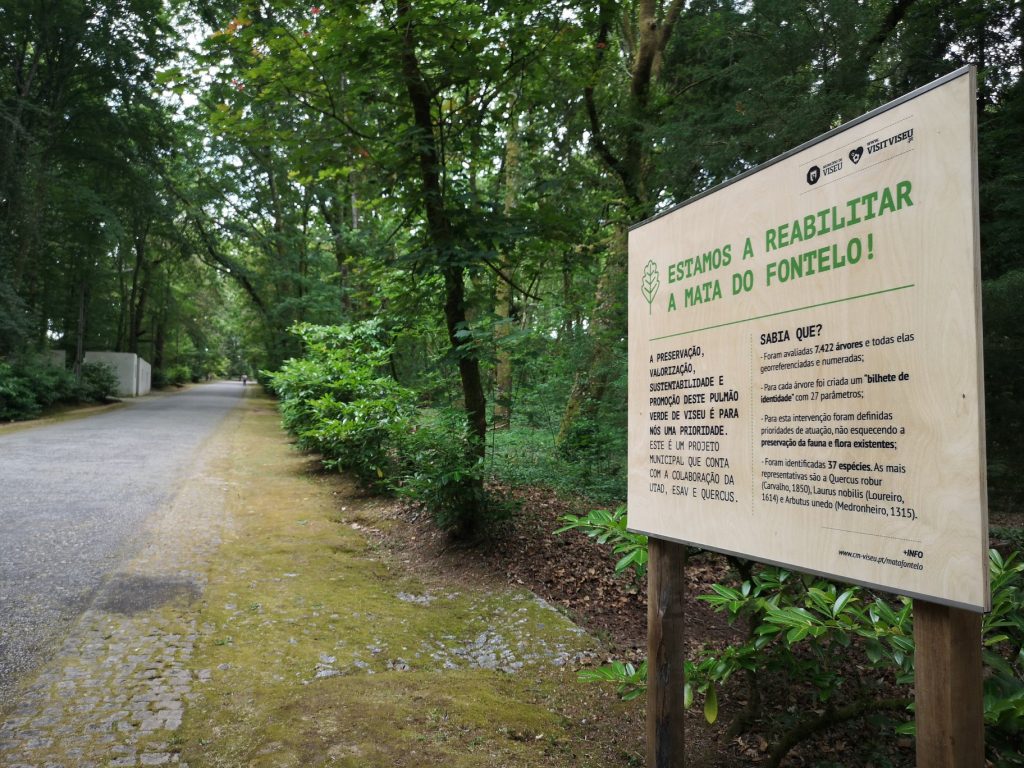  Parques de Viseu fecham esta quinta-feira por causa da previsão de queda de chuva forte