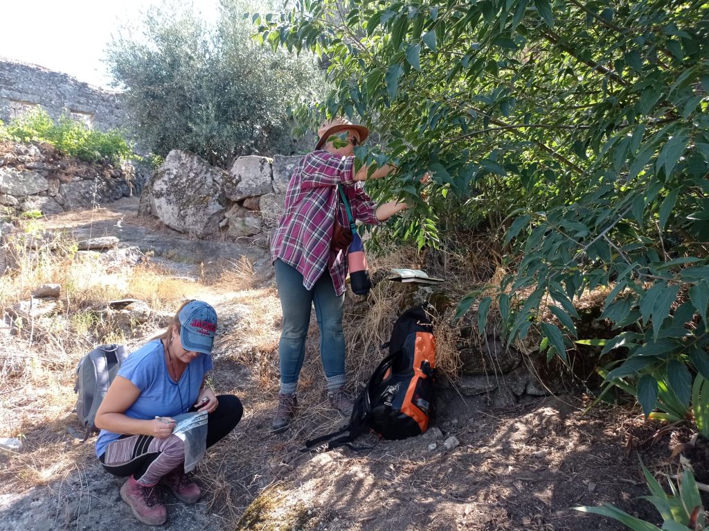  Cultura: Arqueólogos contam com "profissional da área" e alertam para setor em rutura