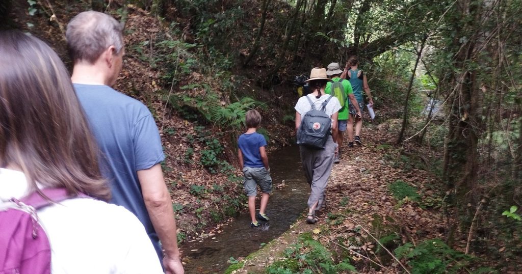  Música, natureza e cinema no nono Festival Fragas Aveloso