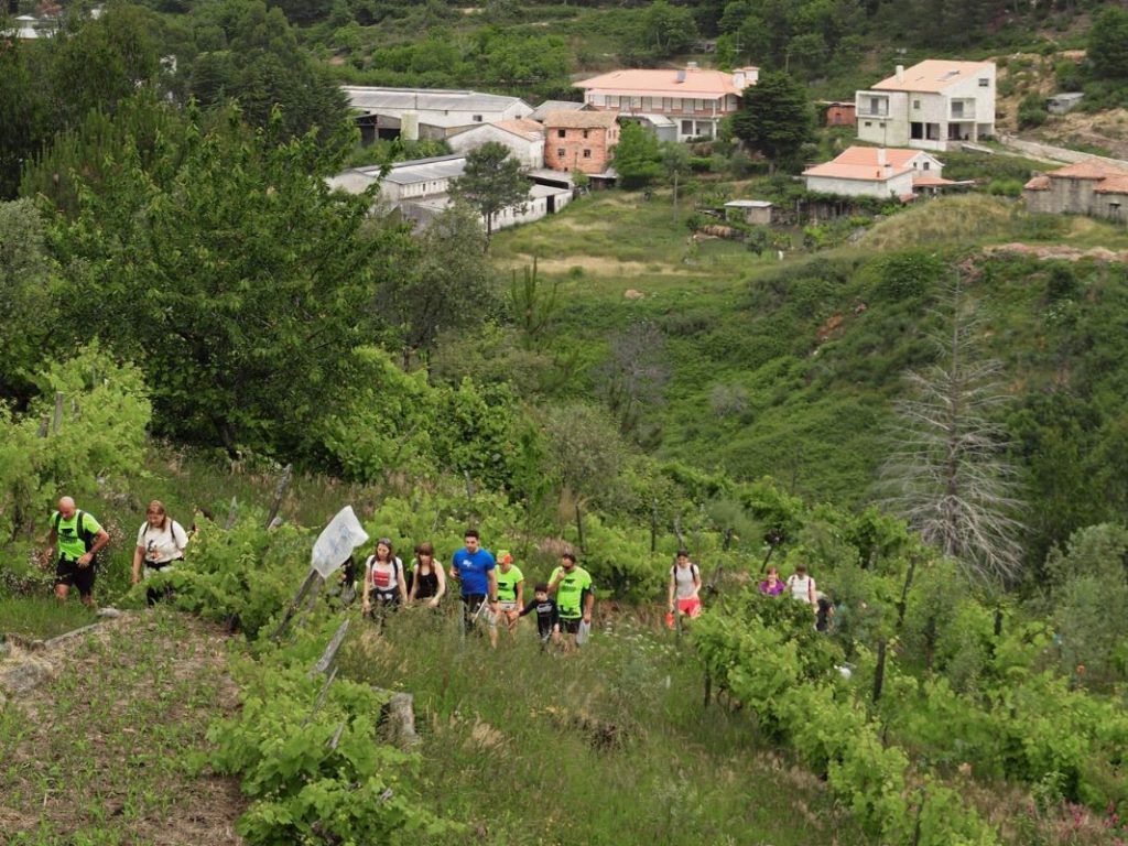  Rota das Cruzes dá a conhecer a festa religiosa mais antiga de Tondela