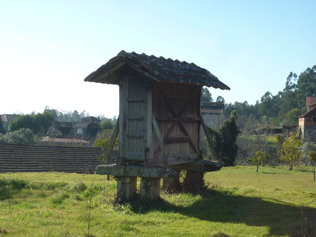  Tondela: Caminhada leva participantes a conhecer 'Rota do Linho'