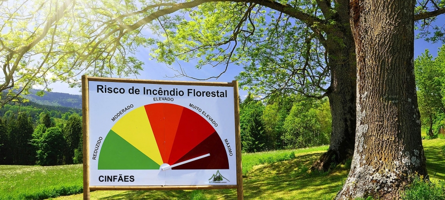  Quatro concelhos do distrito em alerta máximo de incêndio