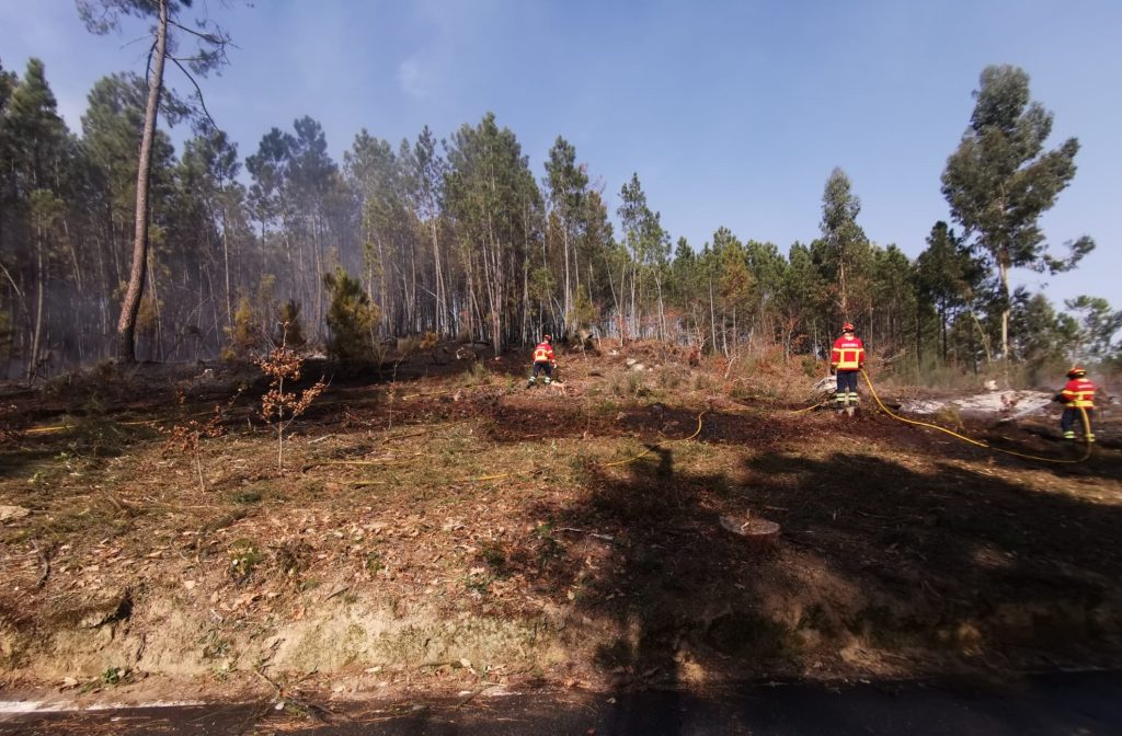  Queimas de amontoados proibidas este verão em Viseu