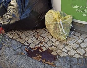  Viseu: moradores de Santo Estevão queixam-se de contentores cheios e carne espalhada no chão