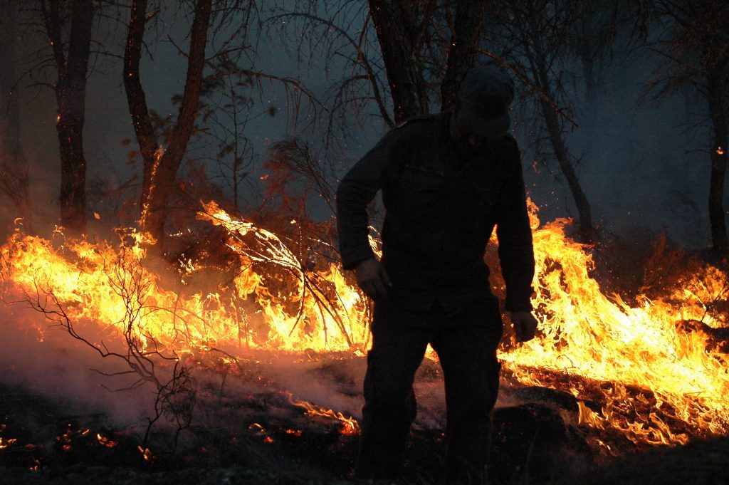  Carta que define zonas com risco de incêndio suspensa. CIM Douro aplaude decisão