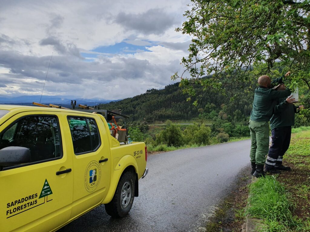  CIM Viseu Dão Lafões e Região de Coimbra unidas em projeto de combate à vespa asiática