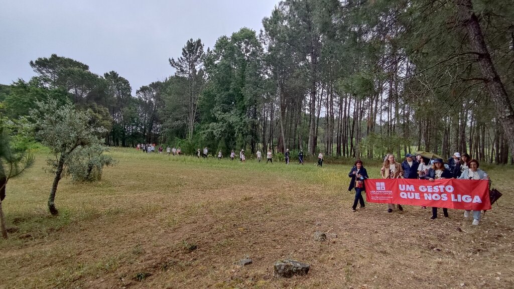  São Pedro do Sul: caminhada solidária contra o cancro em julho