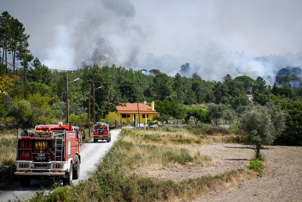  Relatório: Mangualde com o maior incêndio e Cinfães com maior número de ocorrências