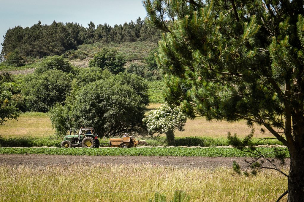  Escola de Agroecologia mostra como cuidar da terra em Viseu e Nelas - Jornal do Centro