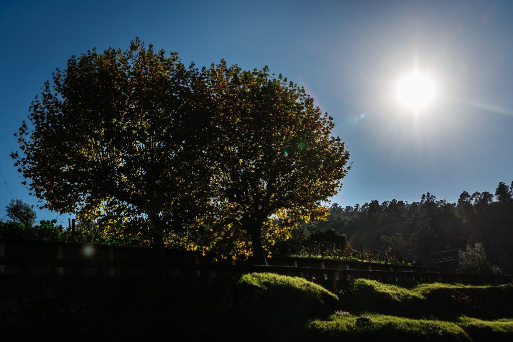  Temperaturas na região de Viseu chegam aos 34 graus esta quarta-feira