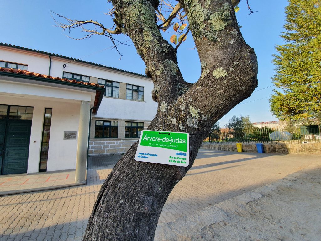  Campo (Viseu) reconhecida como eco-freguesia