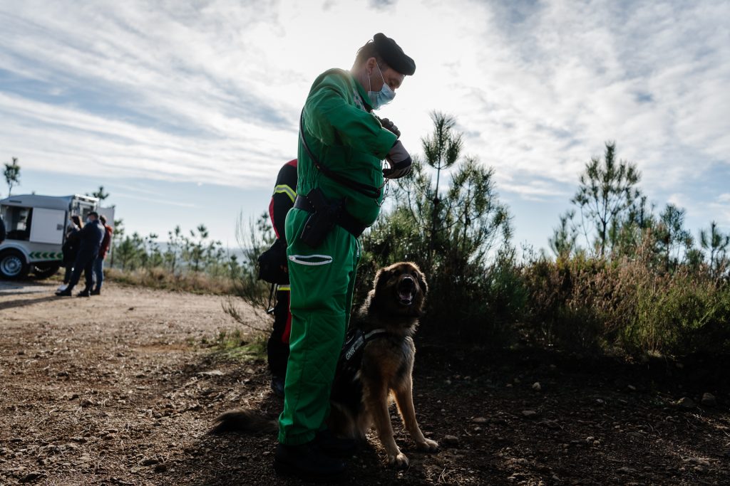  Bombeiros de Tondela e Resende mobilizados para buscas do Noah