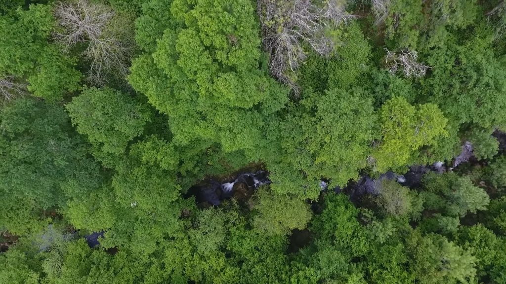  Documentário de realizador de Vouzela finalista em festival de cinema