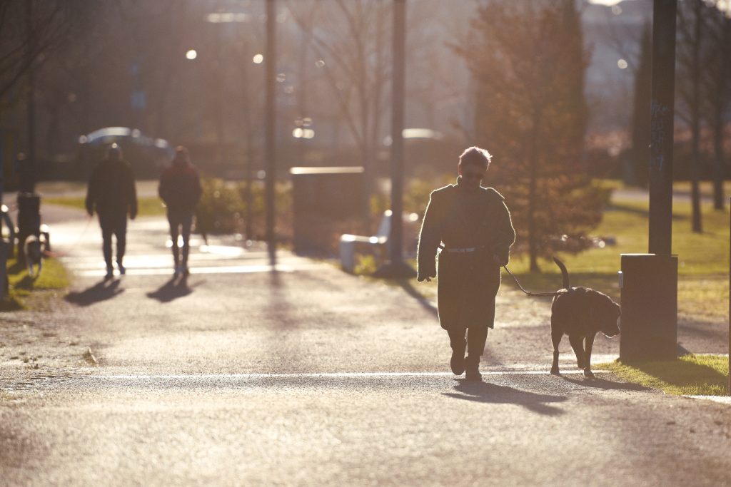  Viseu com previsão de descida da temperatura mínima para esta quinta-feira