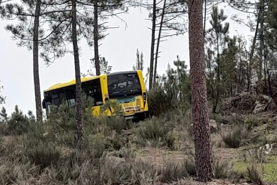  Berrelhas diz que roubo do autocarro do MUV é ato “terrorista” e espera que culpados sejam apanhados