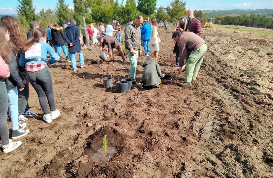  Vila Nova de Paiva: 35 alunos participam em ação de reflorestação