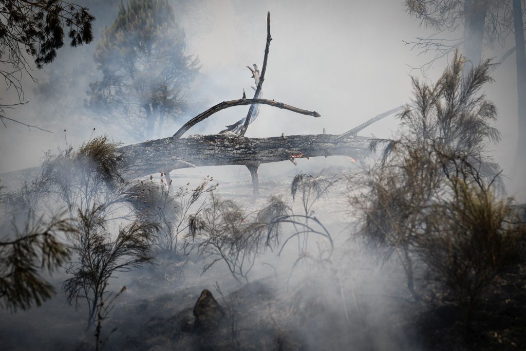  Incêndios: distrito de Viseu em perigo máximo, segundo IPMA