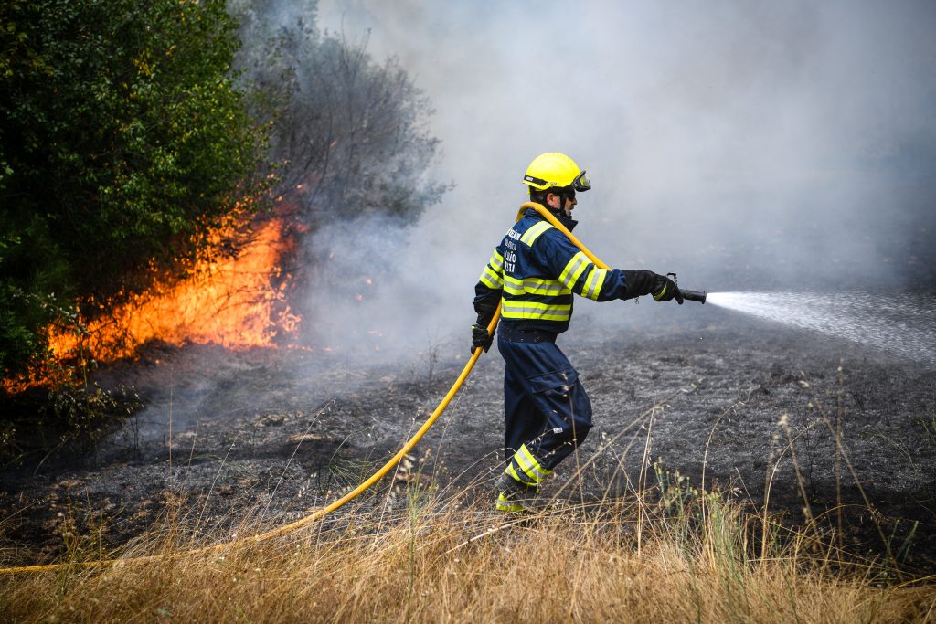  Número de fogos rurais é o mais reduzido desde 2014