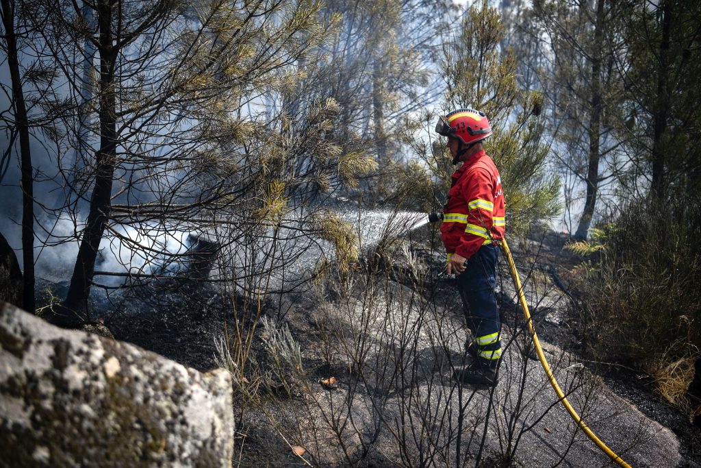  Mais de 140 bombeiros no combate a incêndio de Penalva do Castelo