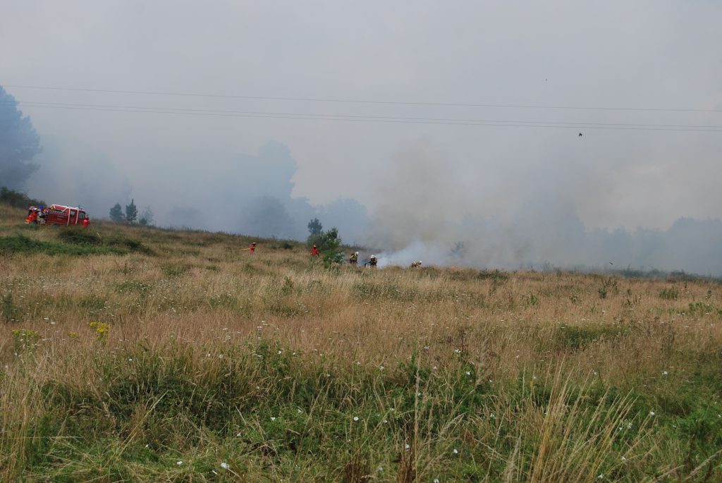  Sete municípios da região sem planos contra fogos atualizados