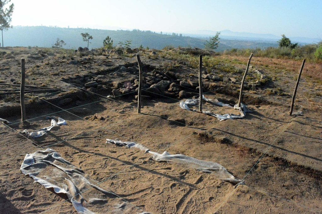  Arqueólogos descobriram troncos de madeira e entrada antiga em Carregal do Sal