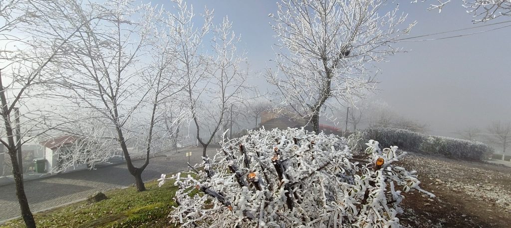  Viseu dá as boas-vindas ao inverno com sol