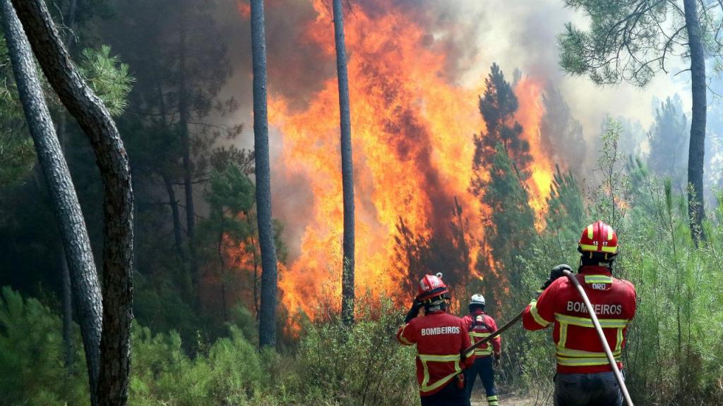  Mais de 800 operacionais preparados para a fase mais crítica dos incêndios