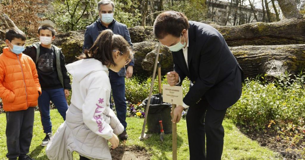  Dia da Árvore: concelhos plantam árvores para assinalar efeméride