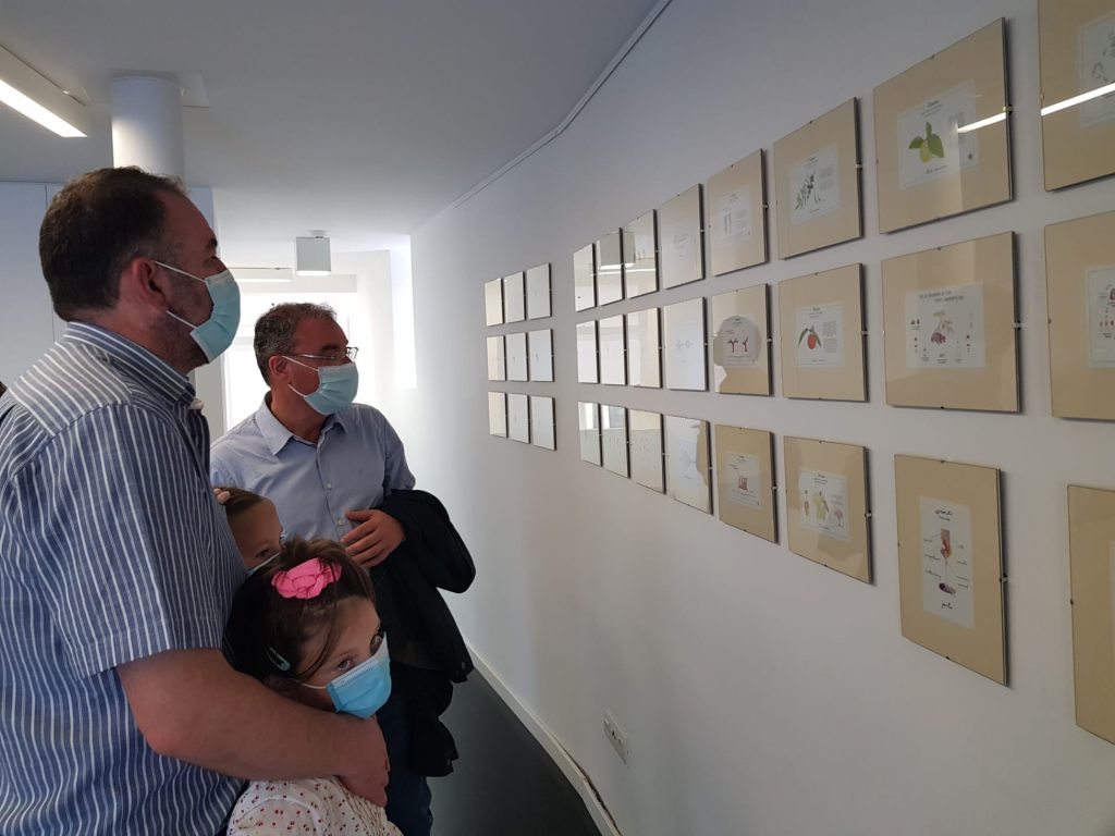  Lamego acolhe até sábado exposição de quadros sobre o Douro