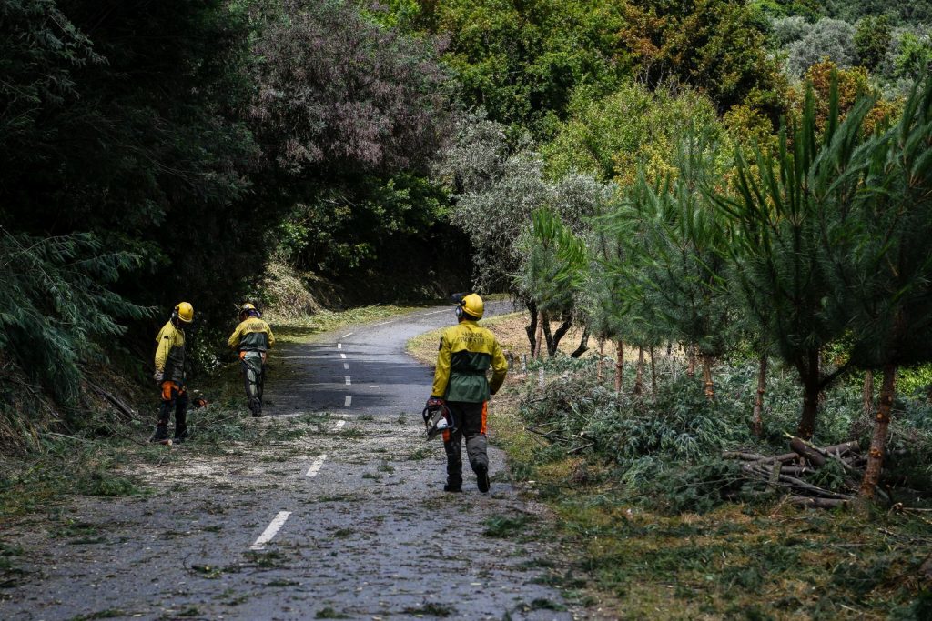  Sapadores florestais vão entrar em greve a 22 e 23 de julho