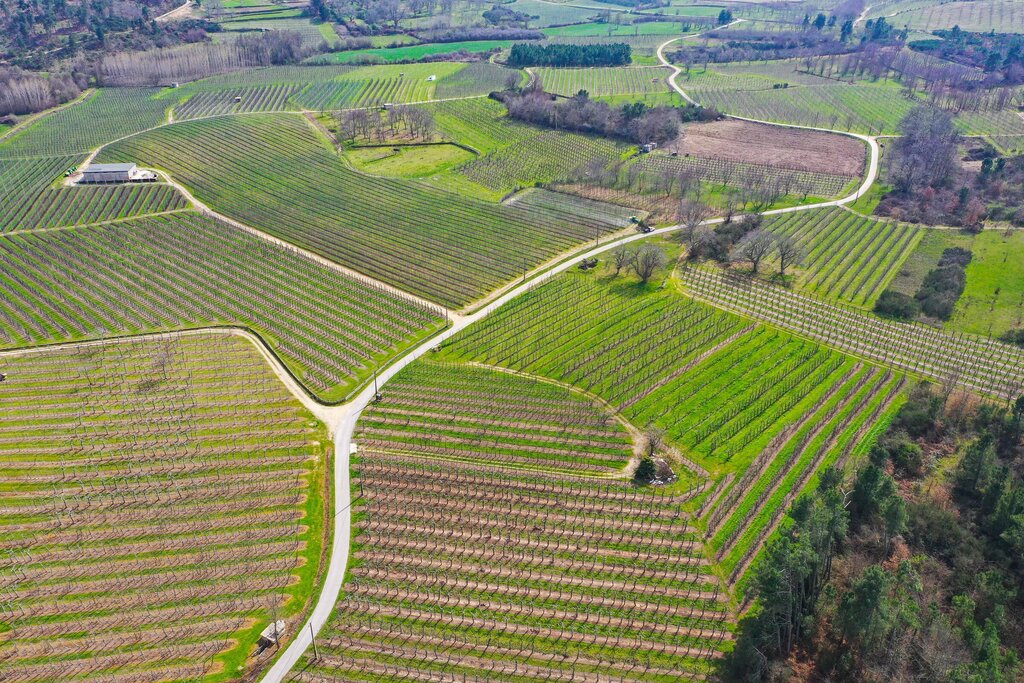  São Pedro do Sul: Balcão Único do Prédio este sábado em Baiões