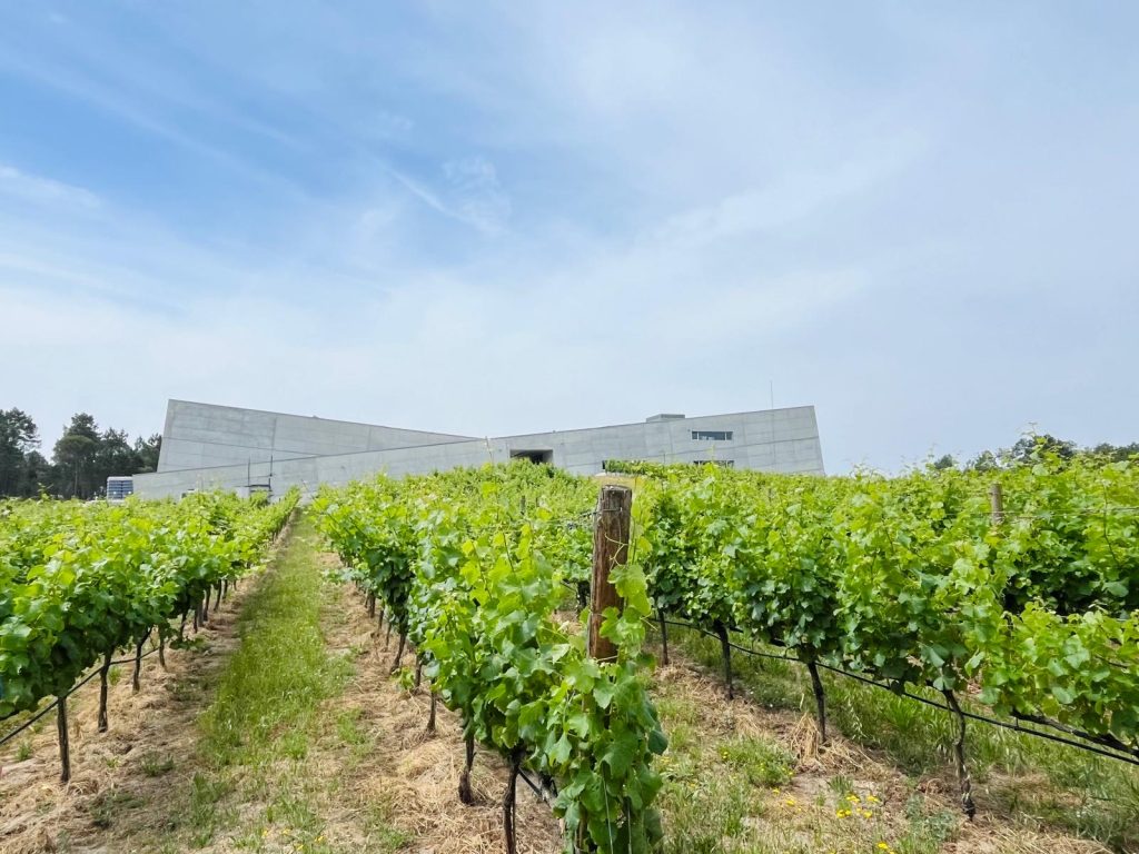  Há Caminhos Cruzados que unem a tranquilidade, a gastronomia e os vinhos que não se esquecem