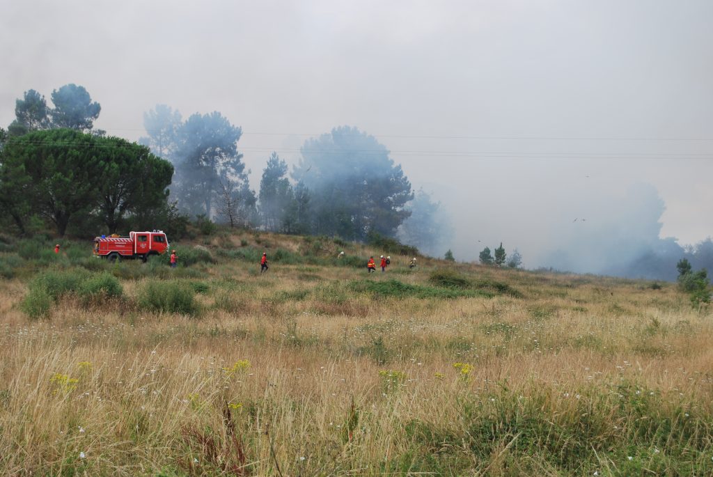  S. João da Pesqueira, Tabuaço e Armamar em risco muito elevado de incêndio