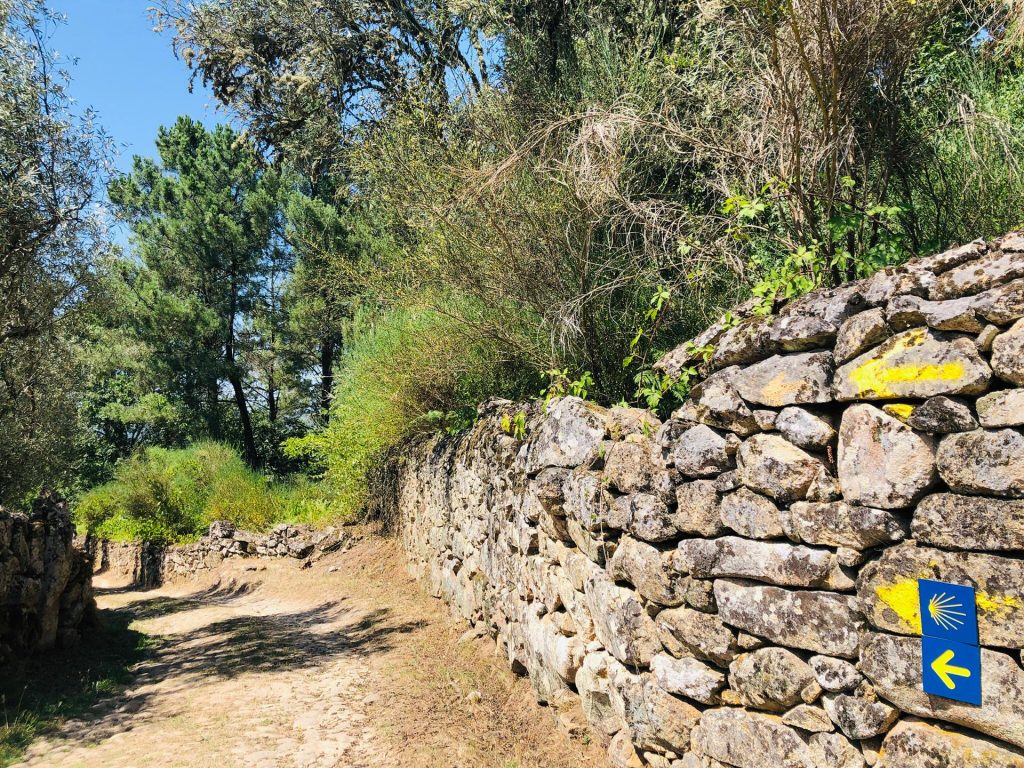  Caminho de Torres que atravessa norte do distrito de Viseu pode ser validado em 2023