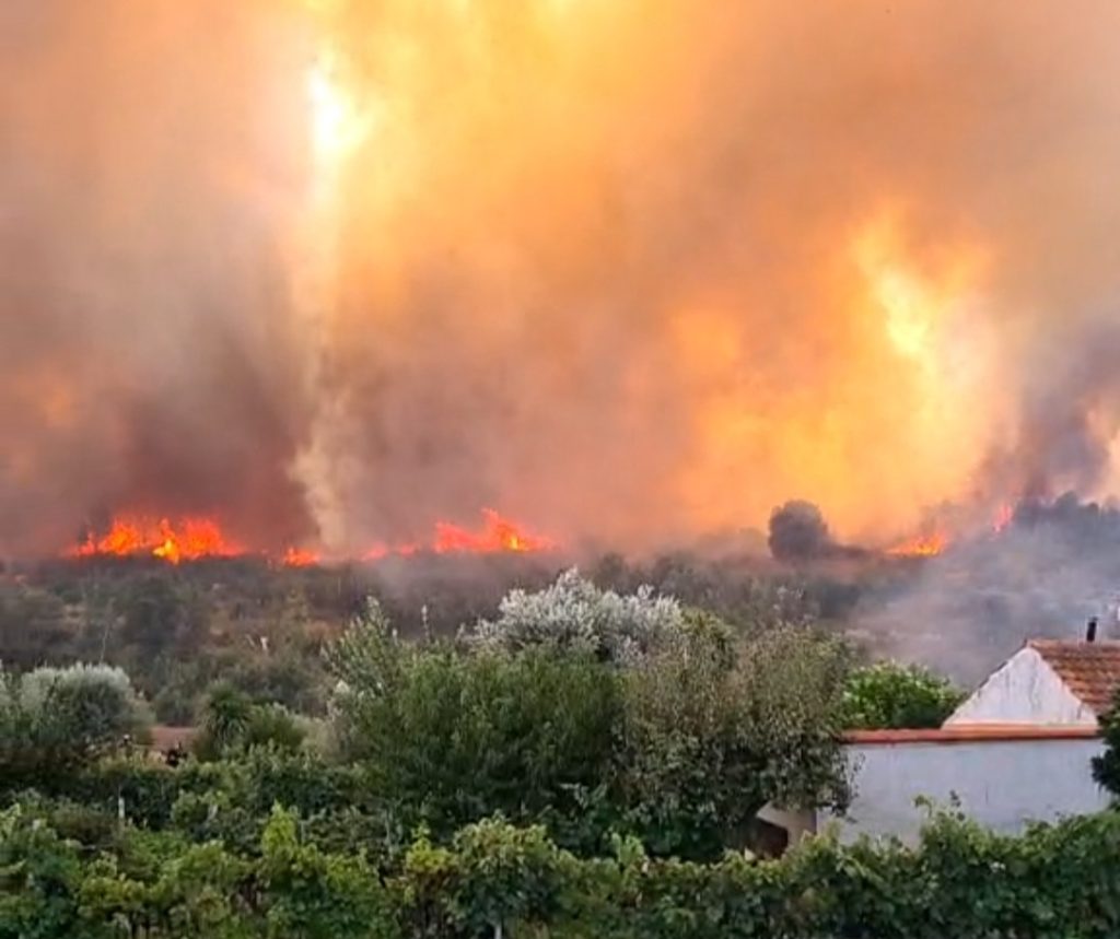  Estrada Nacional 231 cortada e chamas ainda por dominar no incêndio em Nelas