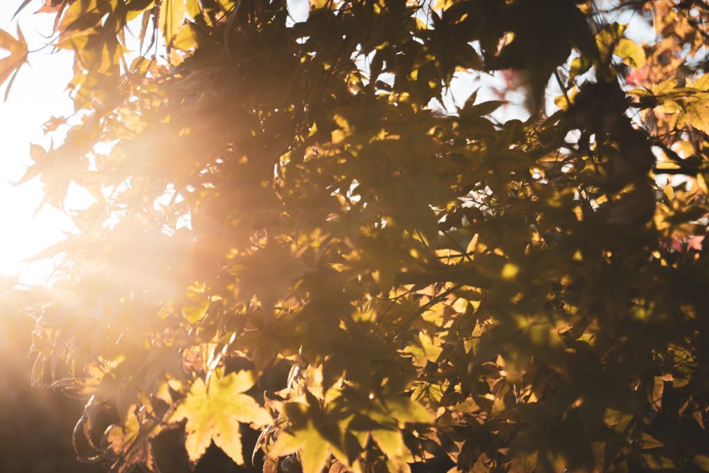  Temperaturas vão chegar aos 34 graus