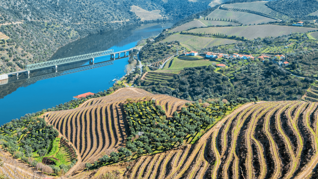  Carta para Sustentabilidade da Região Demarcada do Douro junta mais de 30 instituições