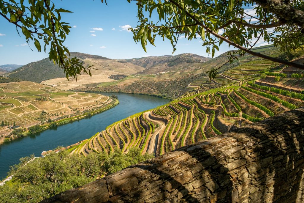  Concurso internacional de fotografia celebra 20 anos do Douro Património Mundial